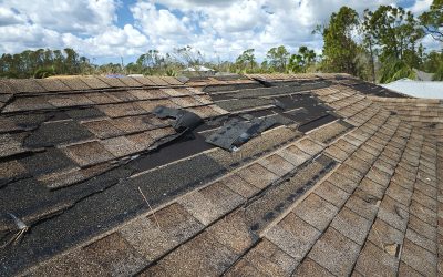 Wind Mitigation Inspections: Why You Need One